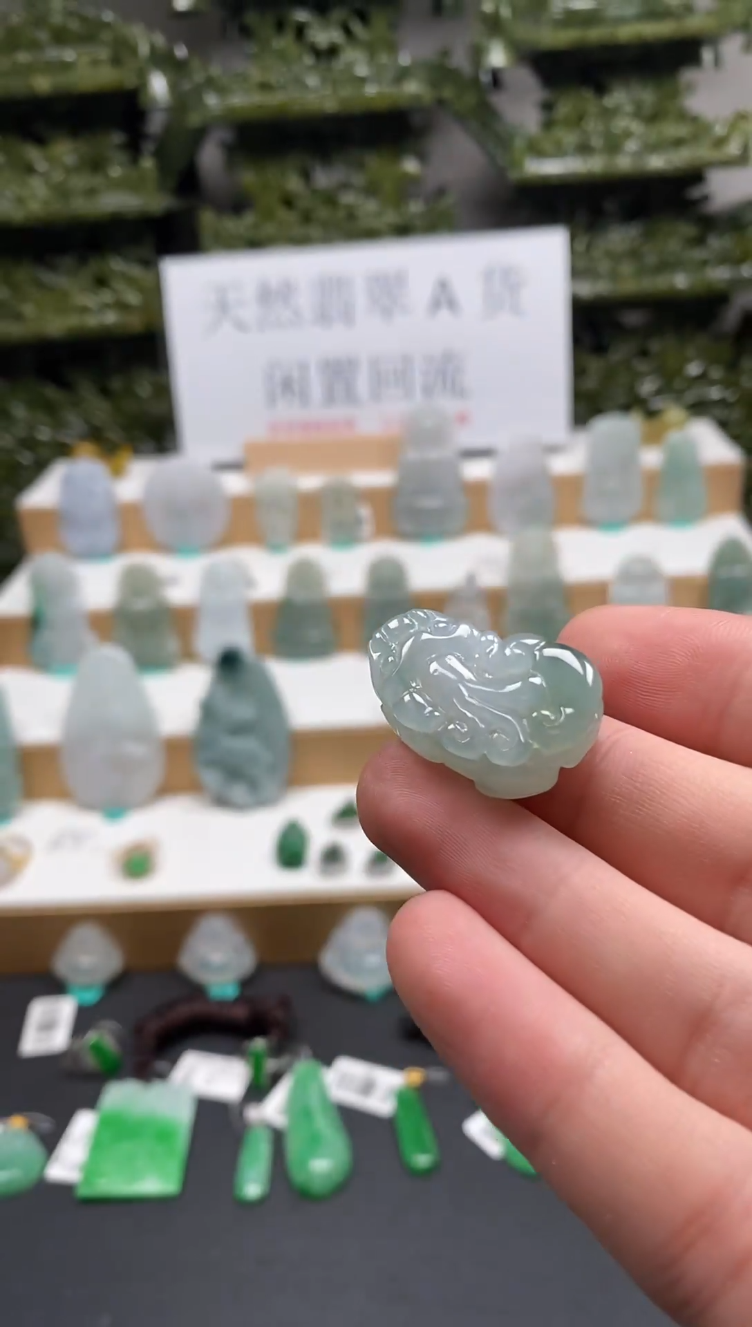 【闪购商品】翡翠颈饰未镶嵌貔貅吊坠30