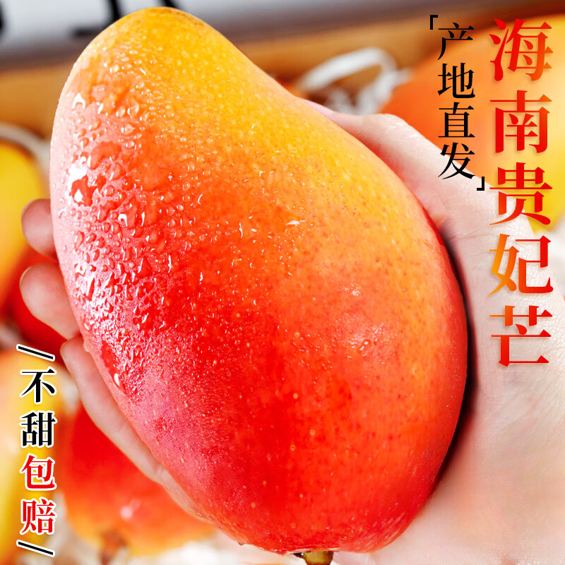 【顺丰包邮】正宗海南贵妃芒果新鲜水果热带红金龙芒果彩虹芒现摘 