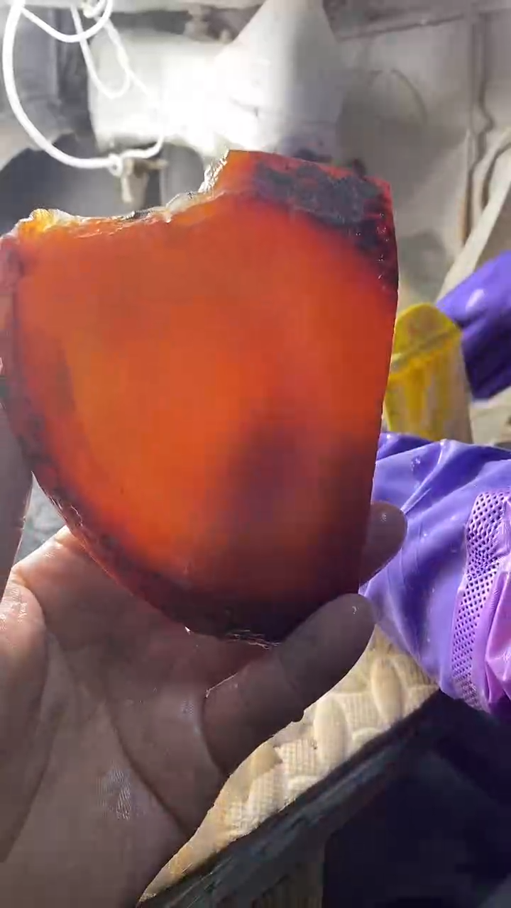 定制玛瑙海58镯2003068