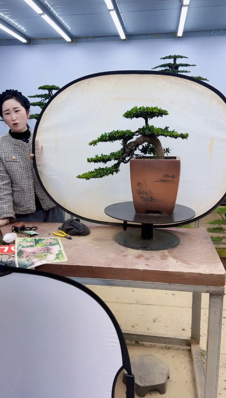 无花朵一物一拍，所见即所得