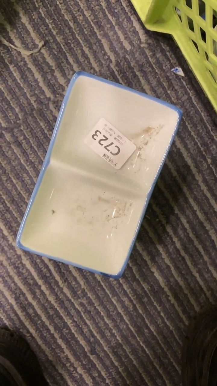 其他L?回流瓷器默认微瑕，谨慎勿拍C723