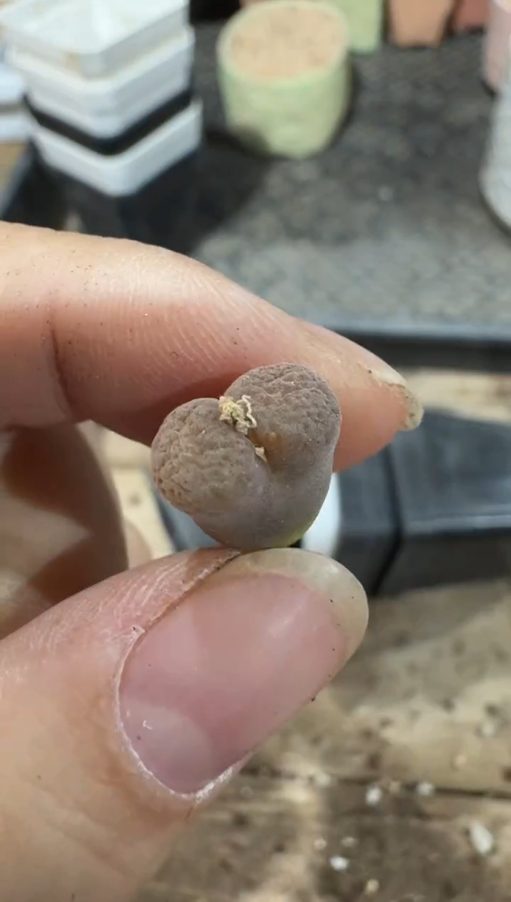 【闪购商品】4*-324