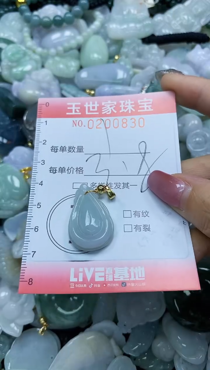 【闪购商品】翡翠颈饰未镶嵌闪购0200830
