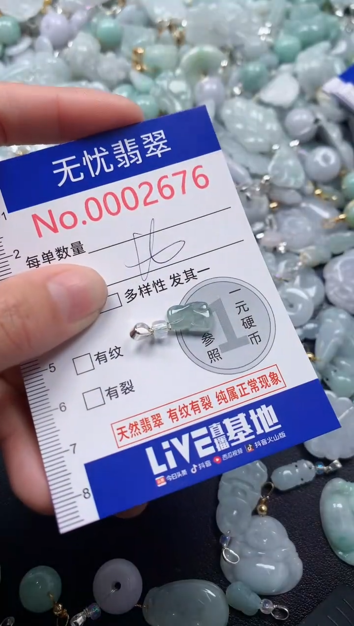 颈饰未镶嵌翡翠2676