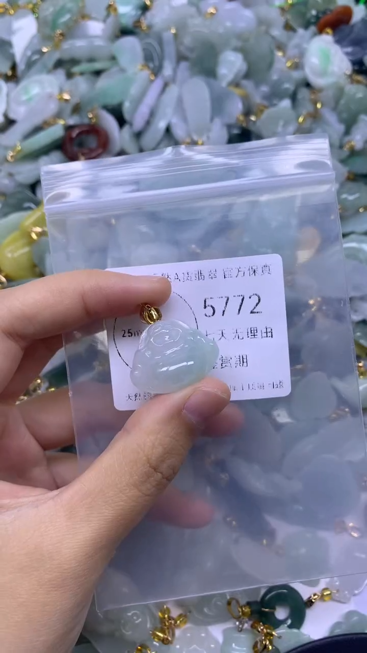 颈饰未镶嵌翡翠1