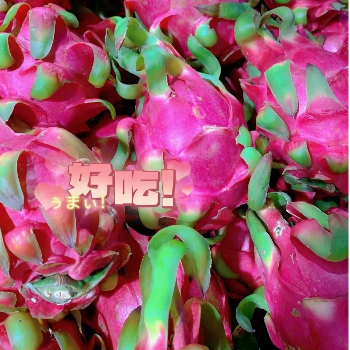 【耒阳配送】红心火龙果一个约630克左右 口感甜好吃又下火
