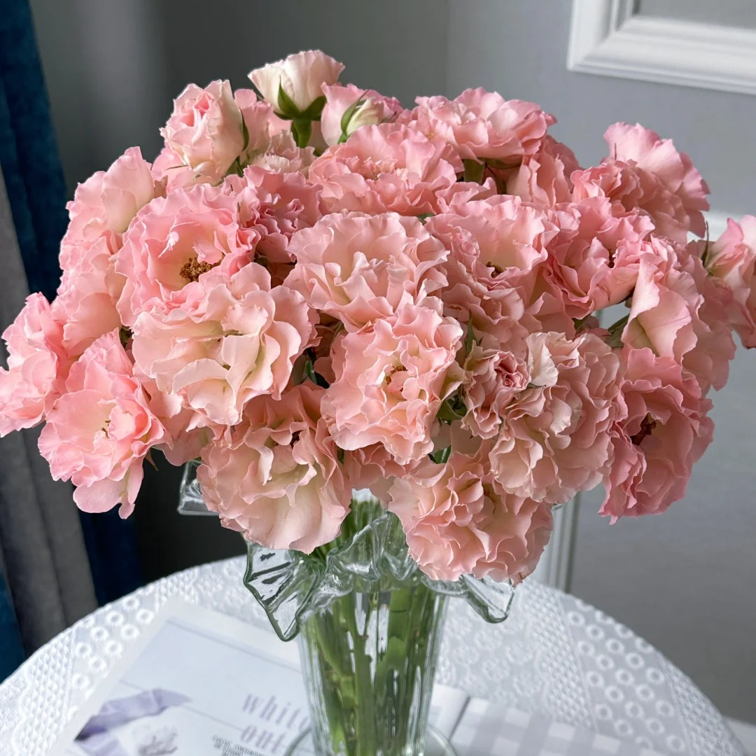 【云南鲜花】多头（人鱼公主） 玫瑰  云南鲜花包邮