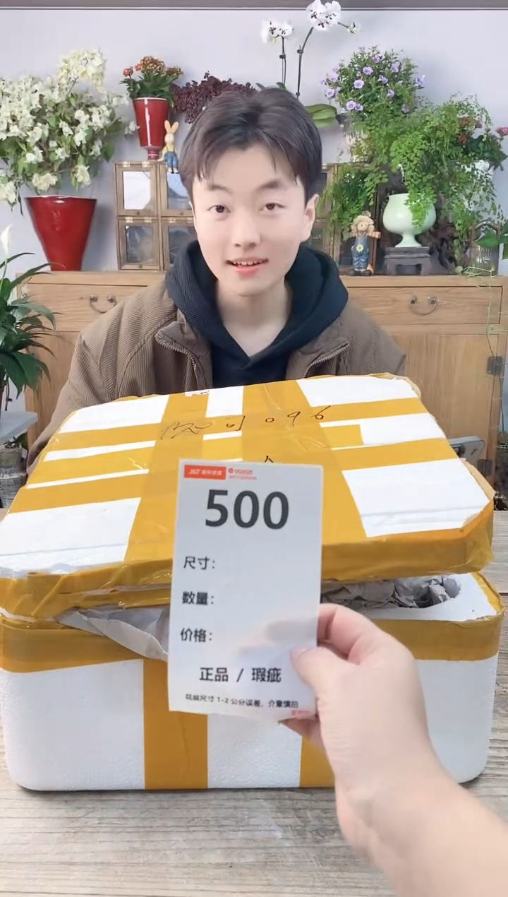 小玩子花盆直播编号500