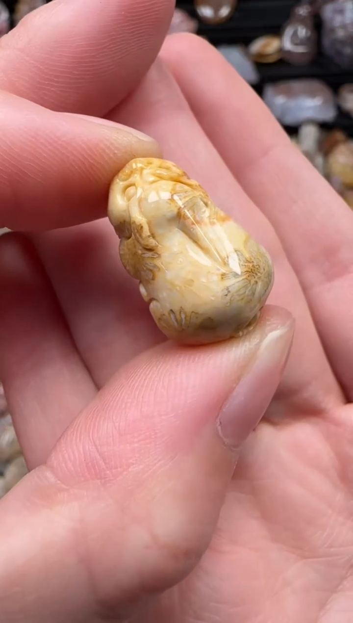 颈饰未镶嵌硅化珊瑚（珊瑚玉）567