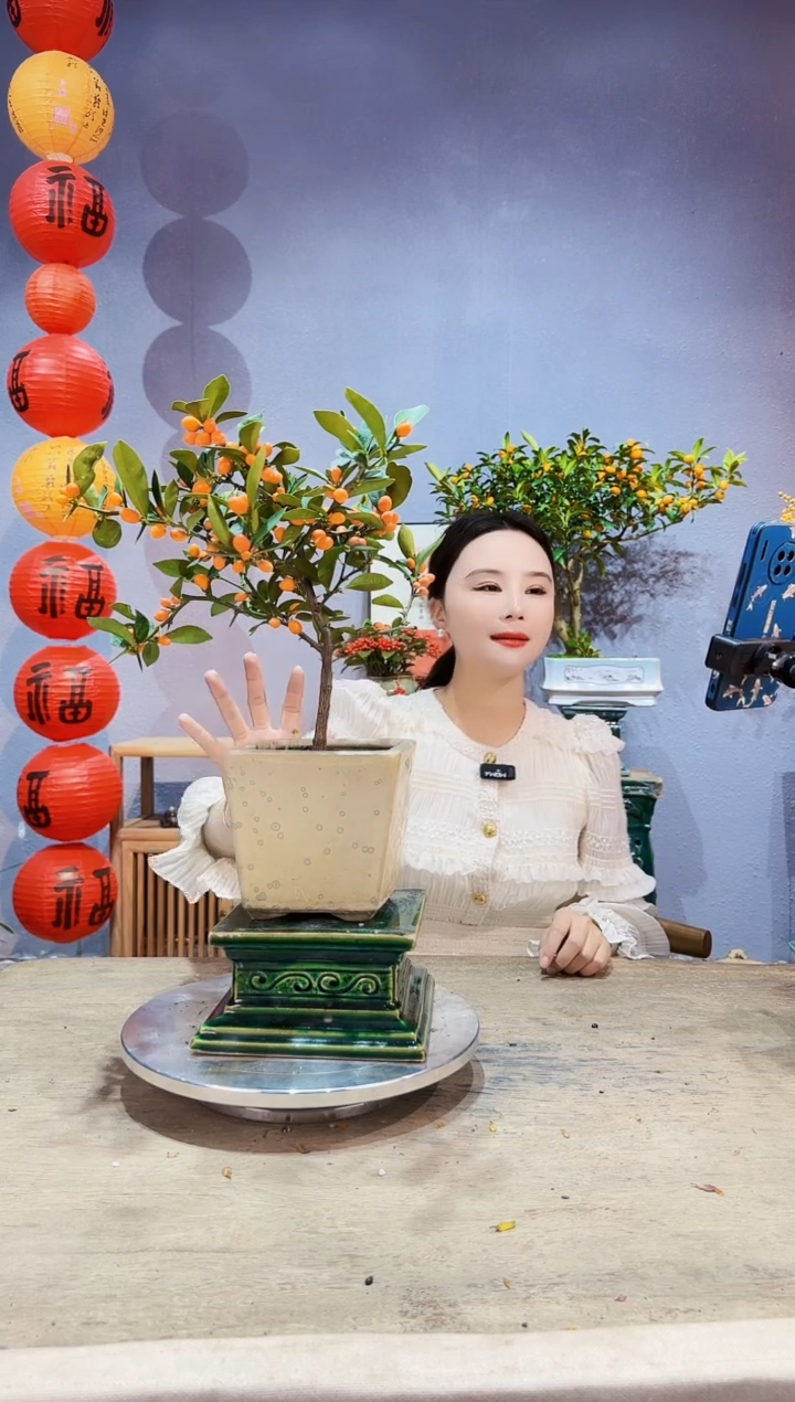 【闪购商品】盆景原生金豆