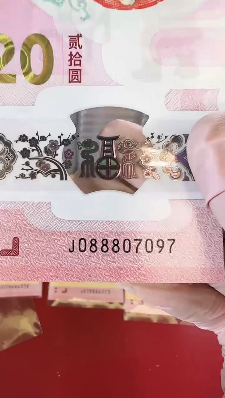 【闪购商品】塑料2025蛇钞钞单张啊啊啊啊啊啊啊啊裸