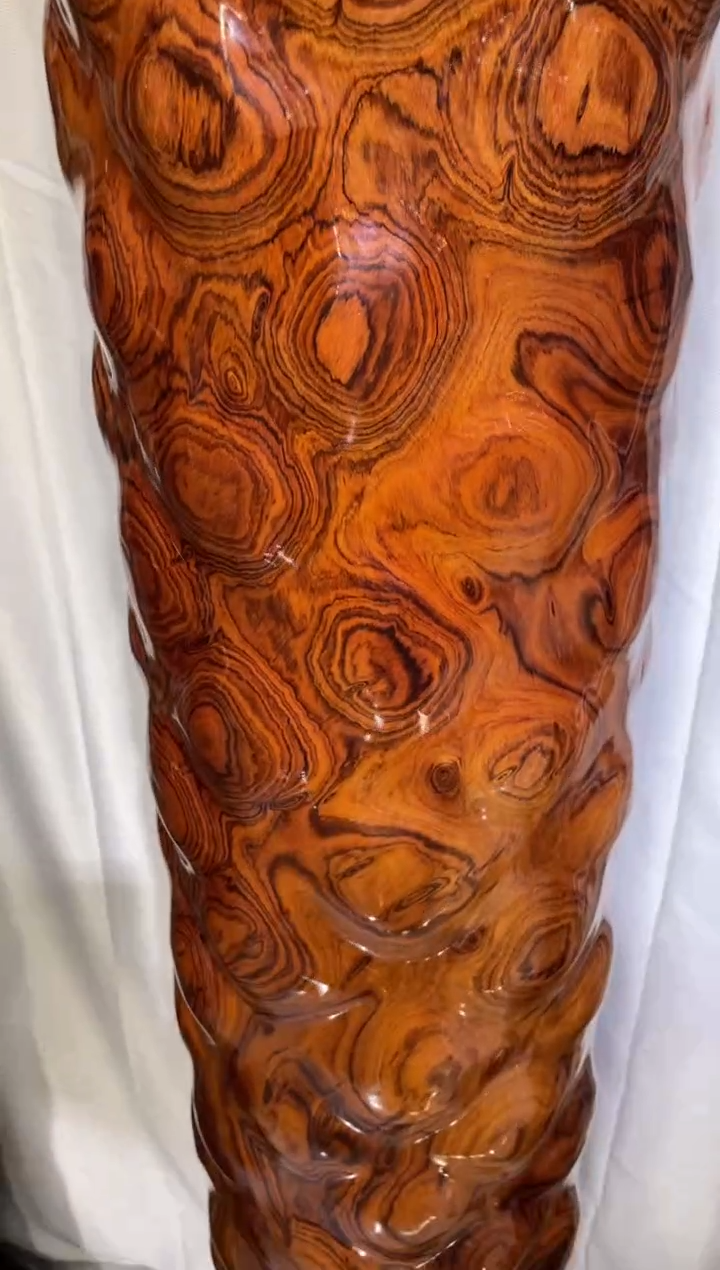 木66666666666666666