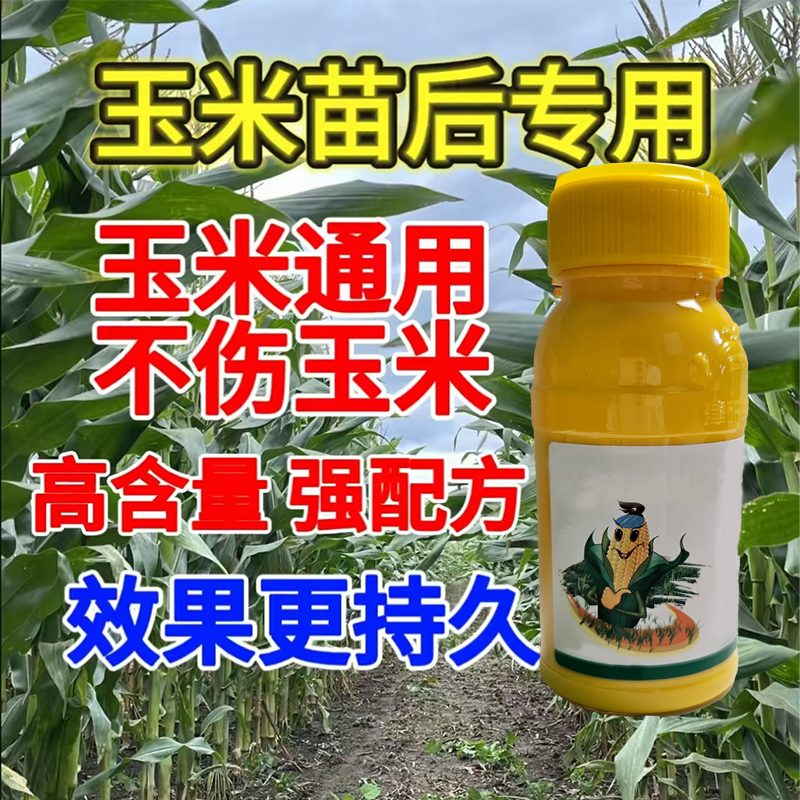 正品保障玉米地苗后专用不伤玉米苗持久消除