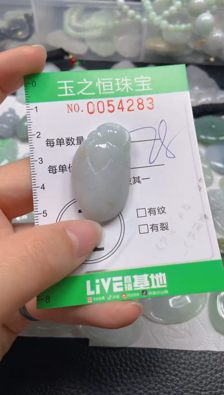 【闪购商品】翡翠未镶嵌颈饰闪购0054283