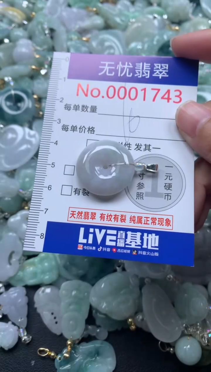 颈饰未镶嵌翡翠1743