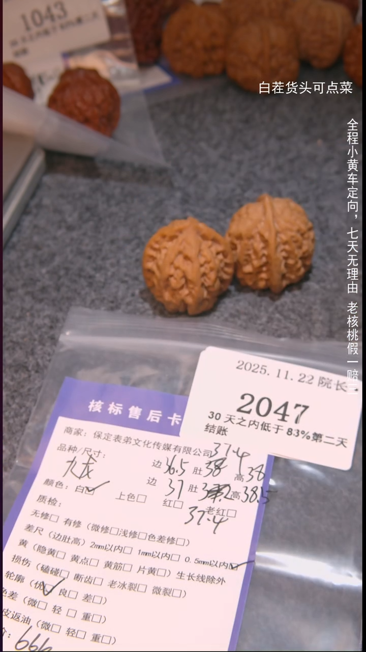 把件文玩核桃贝*九龙2047諘帝文化