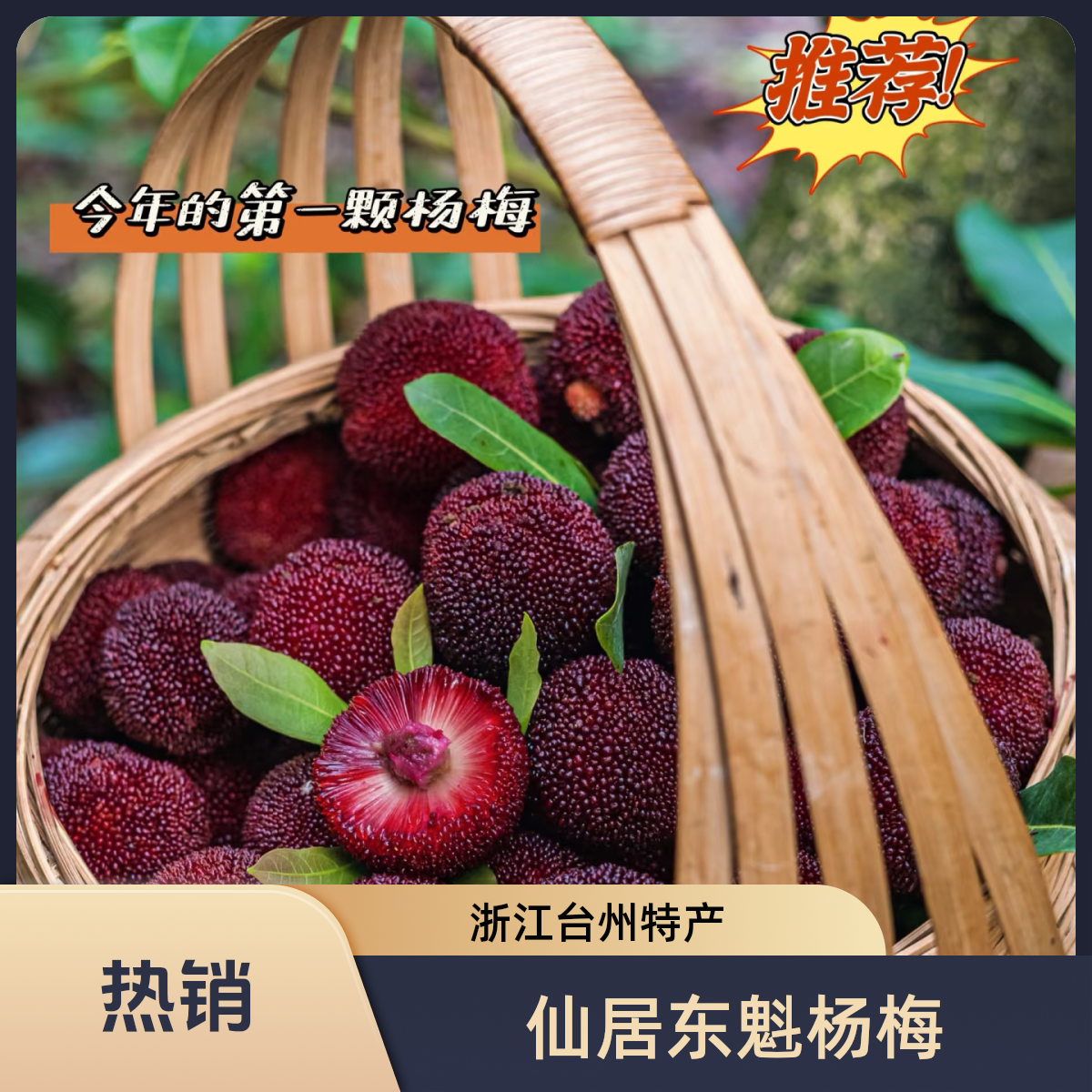 【10A特大果！买一送一到手2箱】正宗仙居高山东魁杨梅新鲜当季送礼
