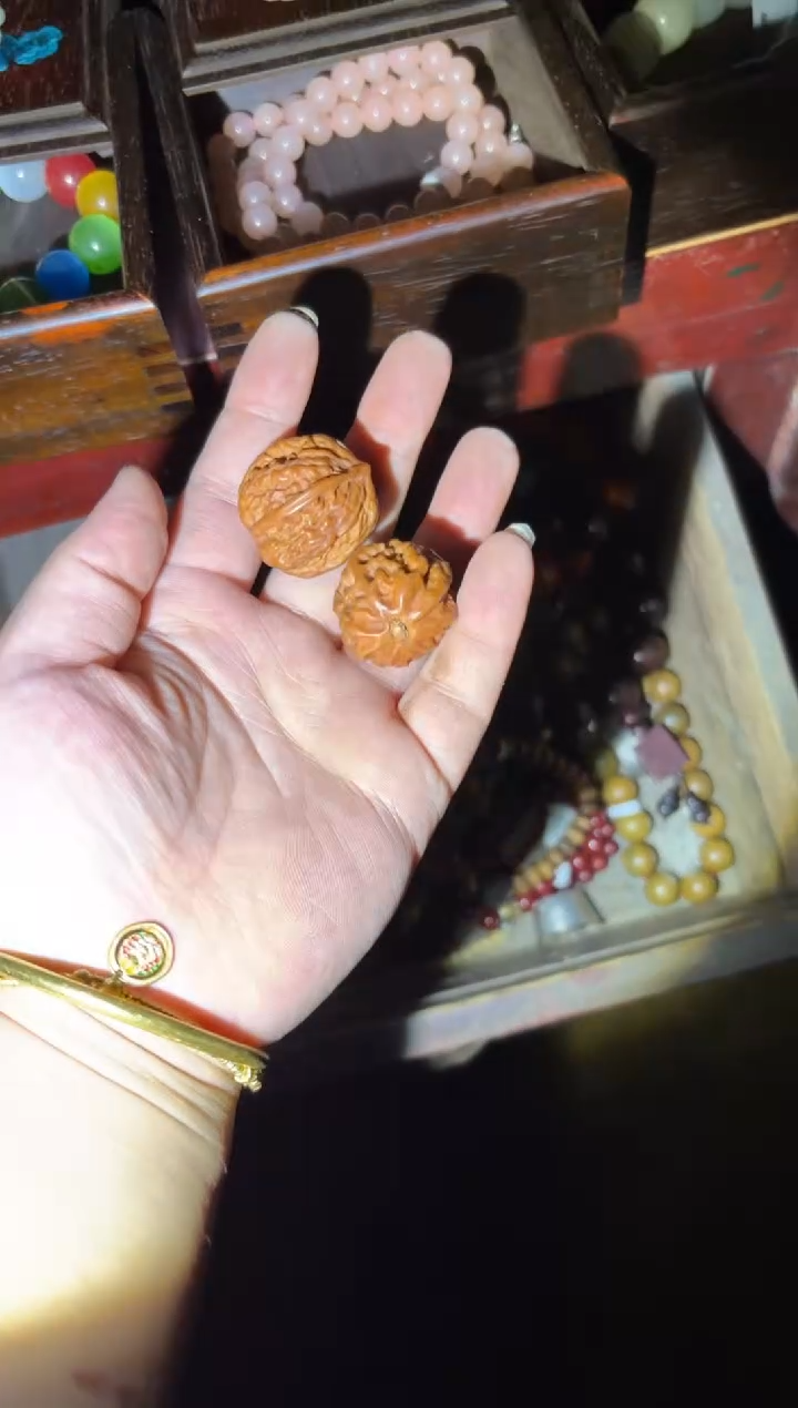 木哈哈哈哈哈哈哈哈哈