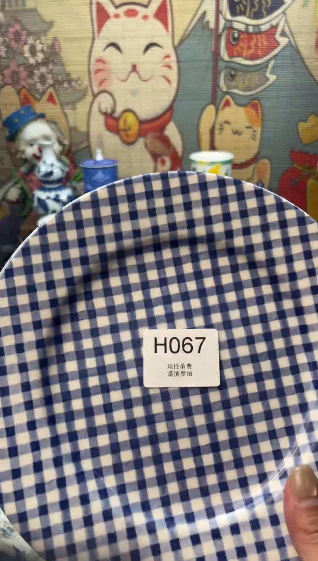 瓷片t****s    H067