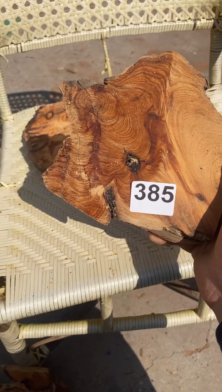 柏木（崖柏）太行山陈化崖柏一片