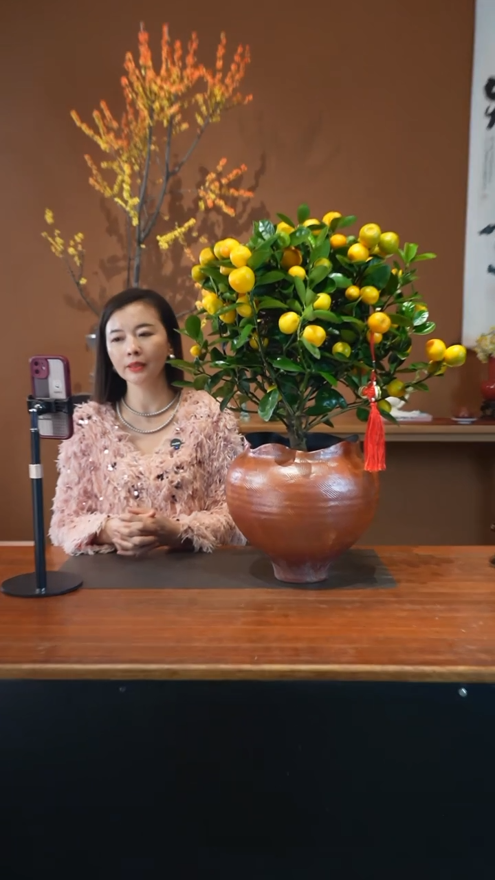 全部花朵金蛋金桔手工盆景盆景