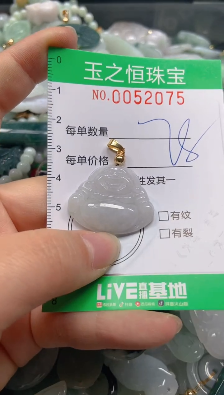 【闪购商品】翡翠颈饰未镶嵌闪购0052075