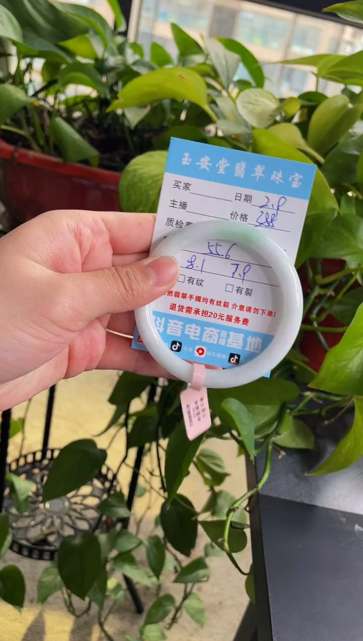 【闪购商品】翡翠手镯未镶嵌04手镯