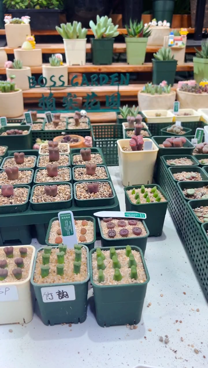 620........................