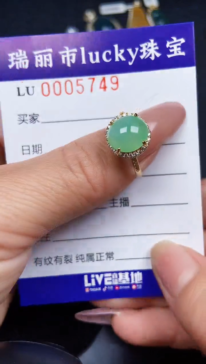 翡翠银S925镶嵌颈饰5749