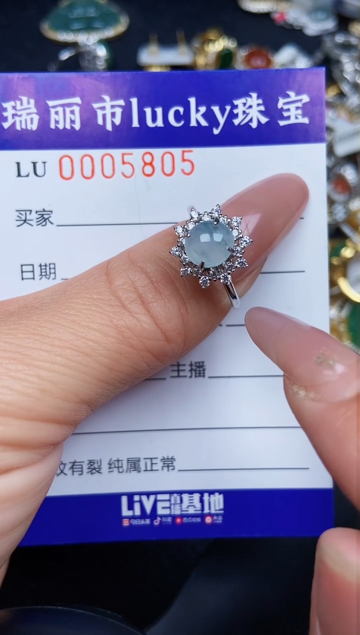 翡翠银S925镶嵌颈饰5805