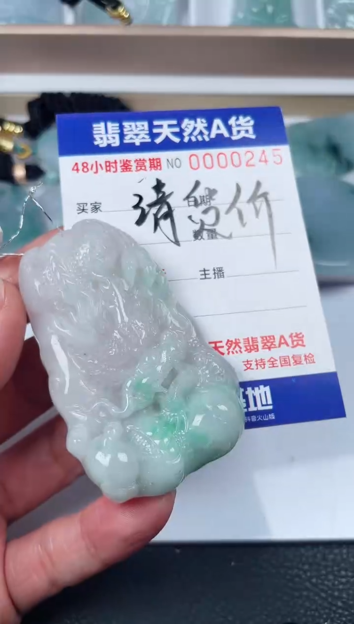 【闪购商品】翡翠颈饰未镶嵌龙