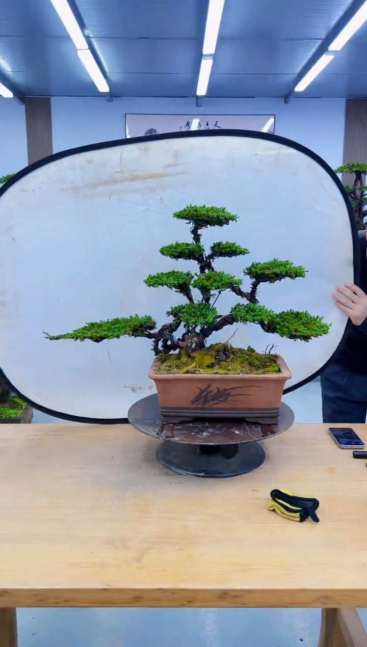 以实际为准000000000000000000000000000000