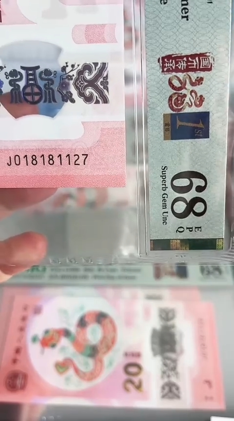 【闪购商品】塑料蛇钞单张018181127PMG68分