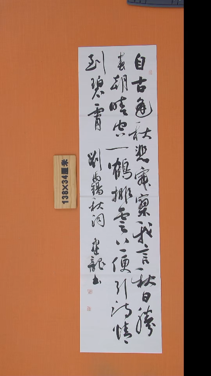 书法杨老师精美作品138*34