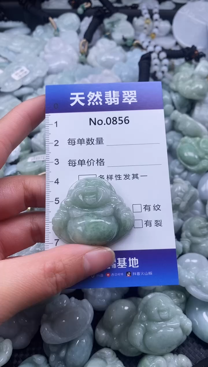 【闪购商品】翡翠颈饰未镶嵌缅甸A货翡翠0856