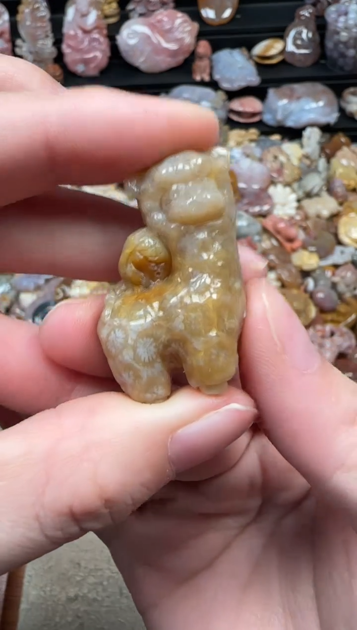 颈饰未镶嵌硅化珊瑚（珊瑚玉）560