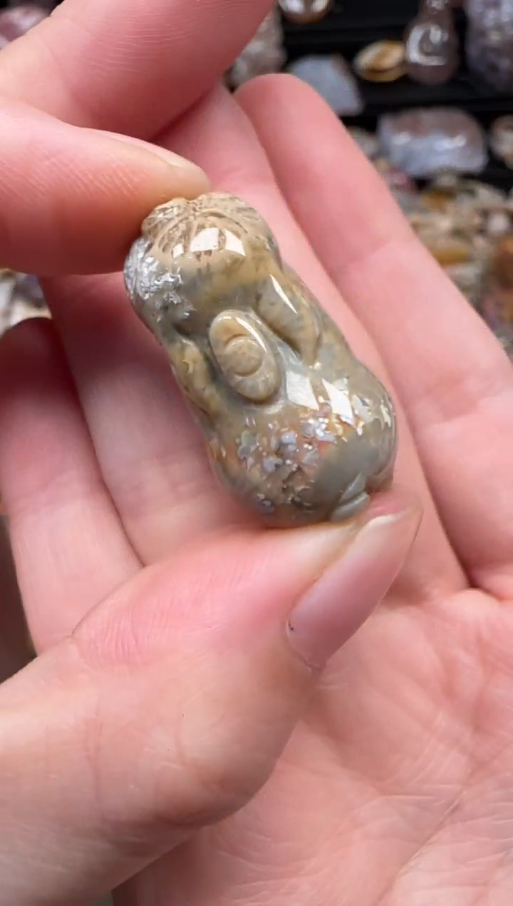 颈饰未镶嵌硅化珊瑚（珊瑚玉）785