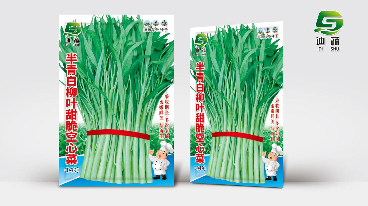 半青白柳叶四季可播青梗柳叶空心菜种子适合阳台种植蔬菜种籽
