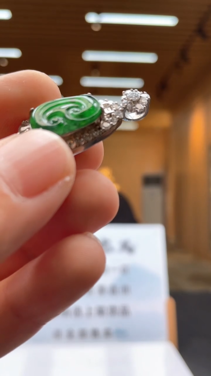 翡翠未镶嵌颈饰*********553