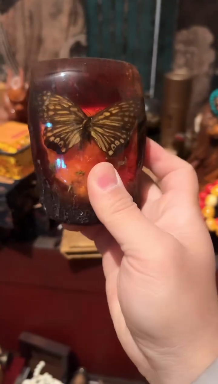 一一一一一一蝴蝶