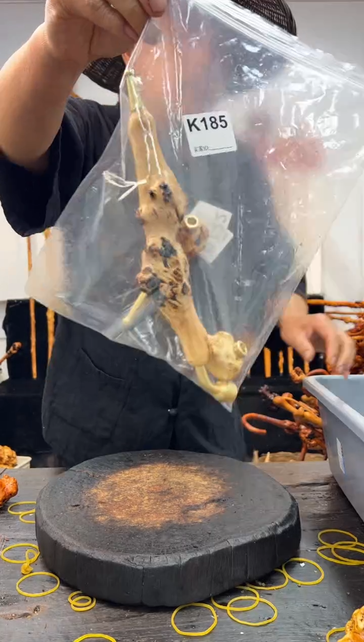 黑果木其他黑果木400