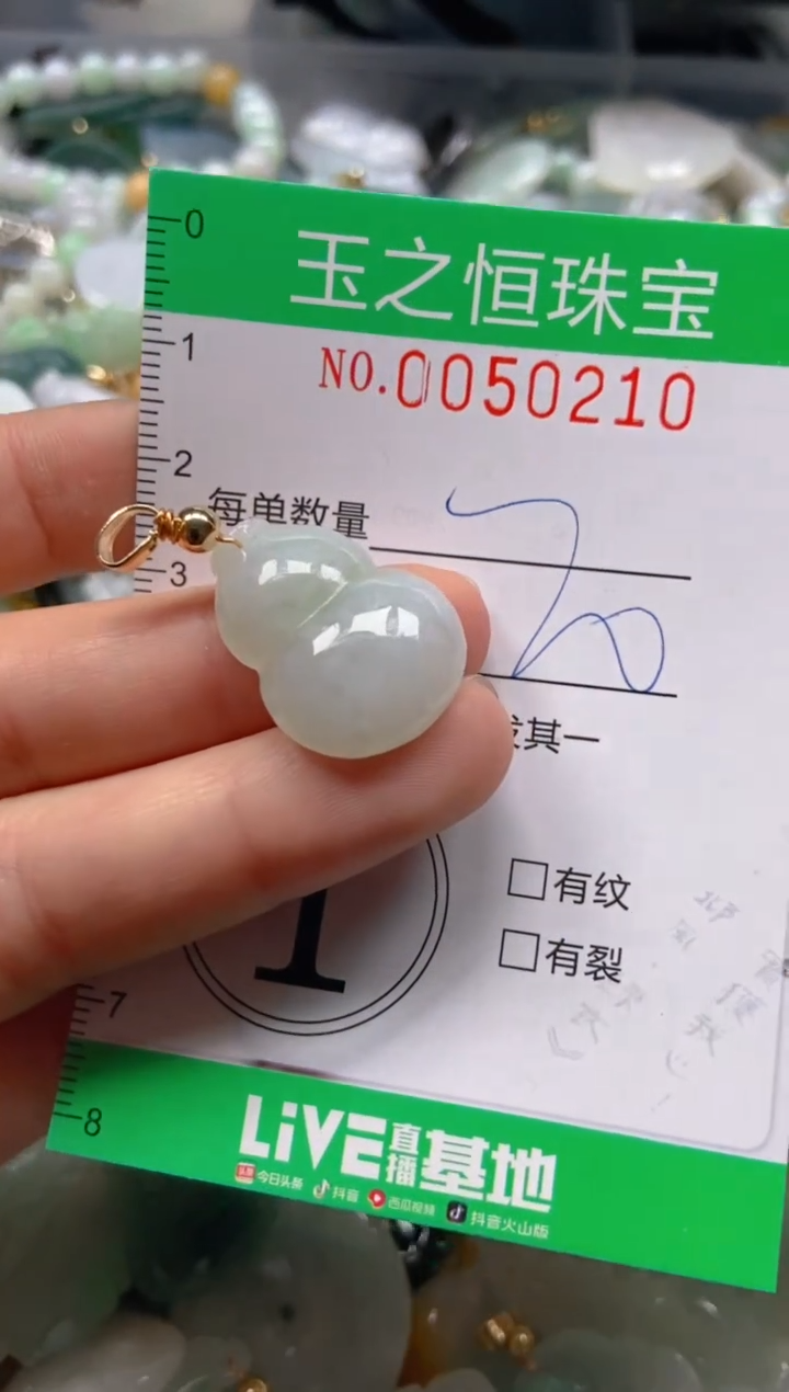 【闪购商品】翡翠颈饰未镶嵌闪购0050210