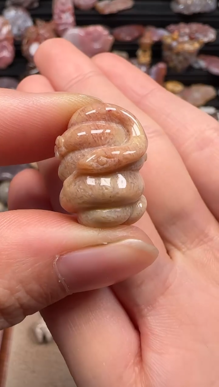【闪购商品】硅化珊瑚（珊瑚玉）颈饰未镶嵌782