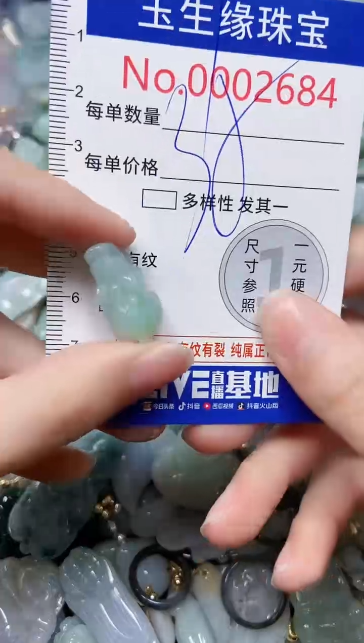 【闪购商品】翡翠颈饰未镶嵌闪购00002684
