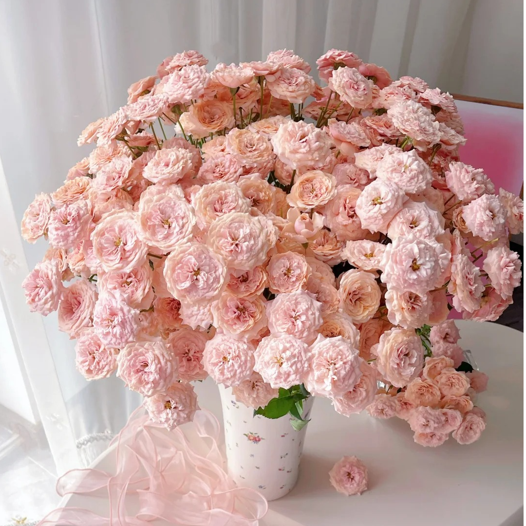 【云南鲜花】多头（丽丽卡）玫瑰 1单普通包邮，2单以上顺丰冷链