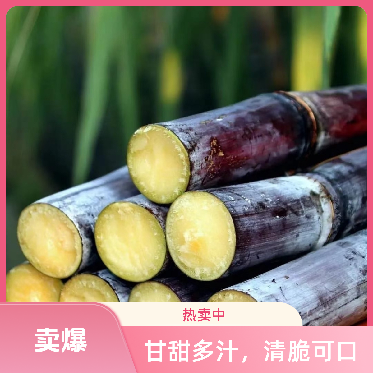 ABC广西黑皮水果甘蔗新鲜现砍应季脆甜多汁整箱包邮中段皮薄