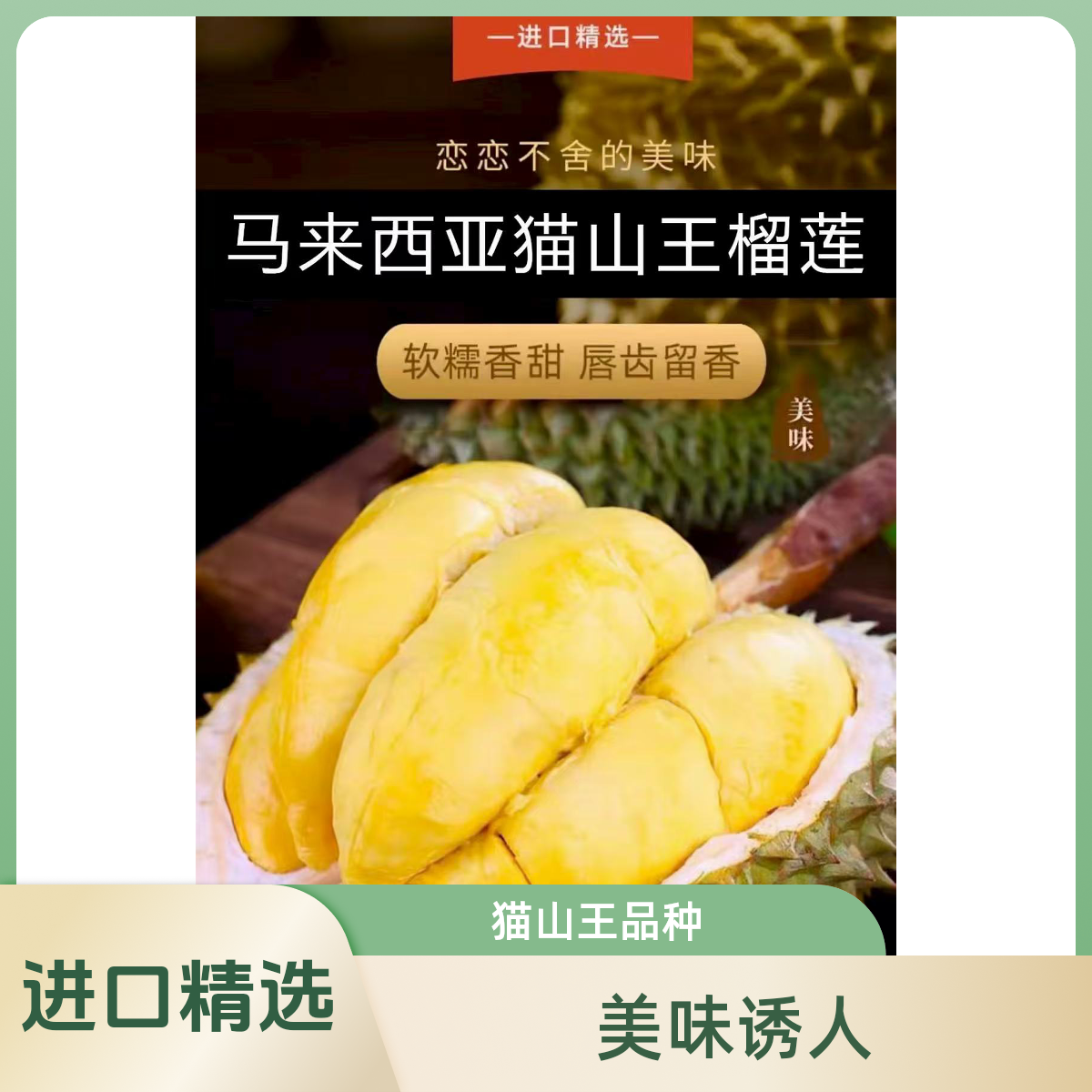 【猫山王D197液氮果】保4房马来西亚冷冻榴莲多规格2～6斤核大小都有（微苦回甘属正常口感）猫山王马来西亚