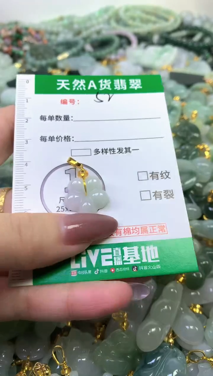 颈饰未镶嵌翡翠纯天然缅甸A货翡翠