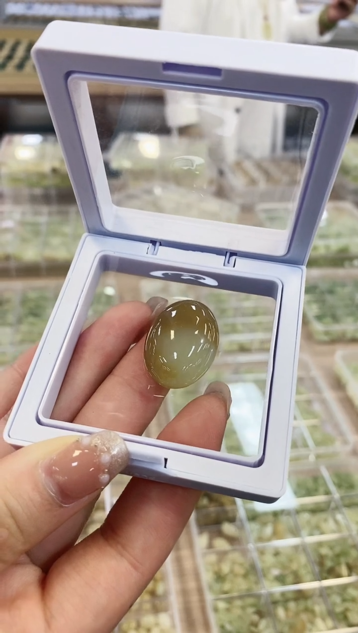 【闪购商品】和田玉挂件未镶嵌糖甘黄蛋面一件