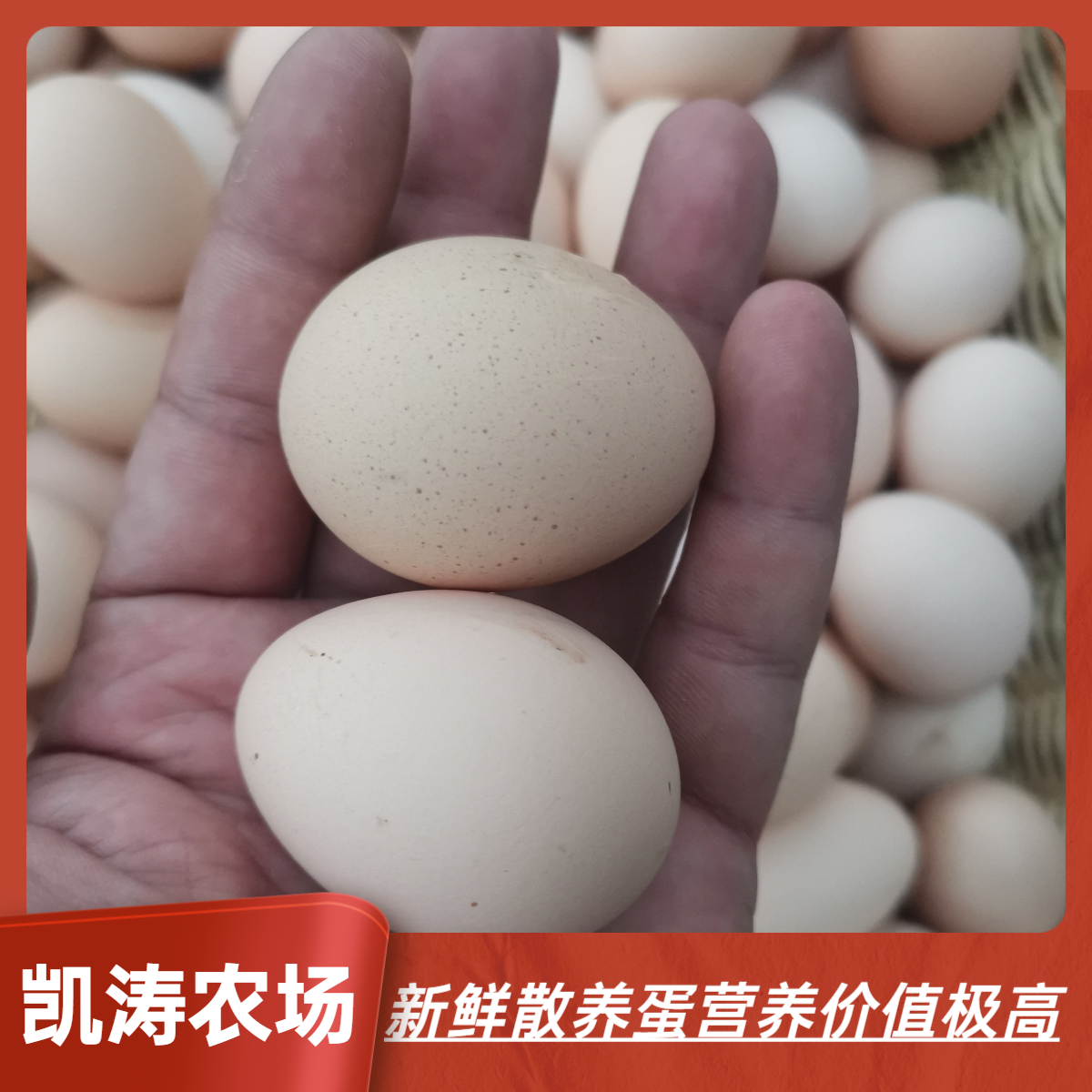 正宗新鲜林下散养溜达鸡蛋  现捡现发 京东或顺丰包邮